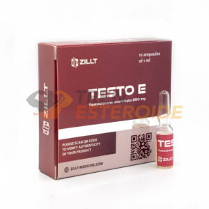 Testo E Zillt Medicine Enantato de Testosterona 250 mg/ml (1 ampolla)