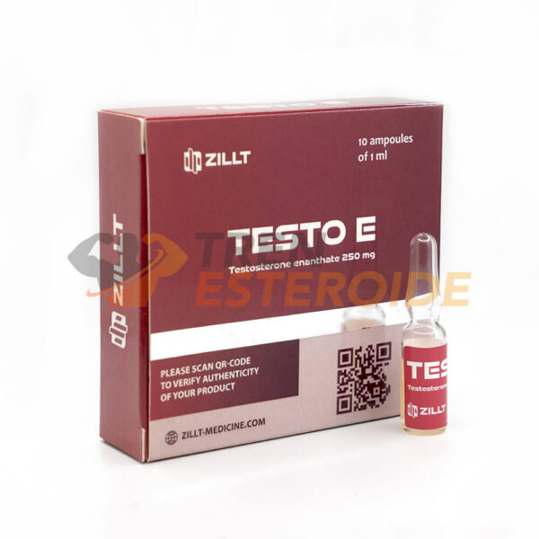 Testo E Zillt Medicine Enantato de Testosterona 250 mg/ml (1 ampolla)