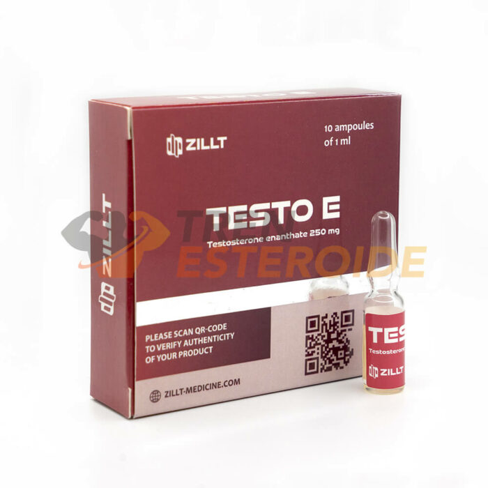 Testo E Zillt Medicine Enantato de Testosterona 250 mg/ml (1 ampolla)