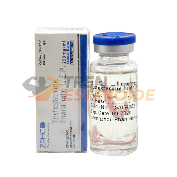 Testosterone Enanthate ZPHC Enantato de Testosterona Botella 250 mg/ml