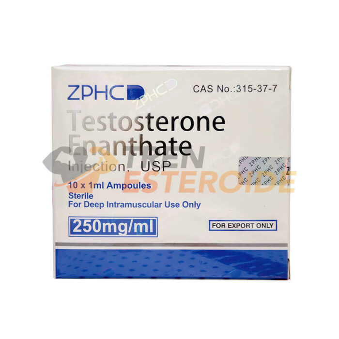 Testosterone Enanthate ZPHC Enantato de Testosterona 250 mg/ml (1 ampolla)