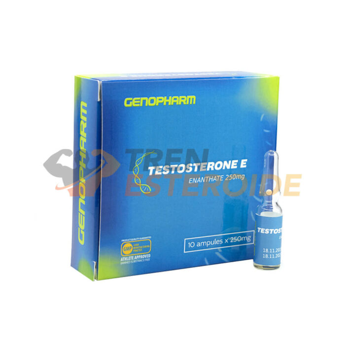 Testosterone E Genopharm Enantato de Testosterona 250 mg/ml (1 ampolla)