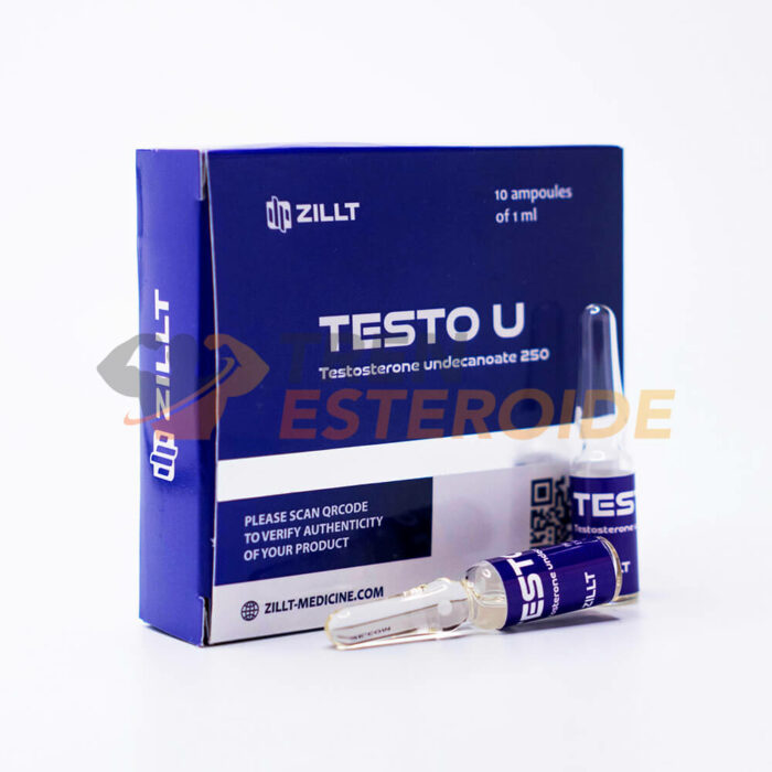 Testo U Zillt Medicine Undecanoato de Testosterona 250 mg/ml (1 ampolla)