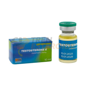 Testosterone E Genopharm Enantato de Testosterona Botella 250 mg/ml